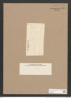 Pleurosigma febigerii Grun. (de-Toni-Nr.: Genus 13, Species 1088) Zeichnungen Sammlung Grunow Nr. 2114 (NHMW-BOT-W0369145)